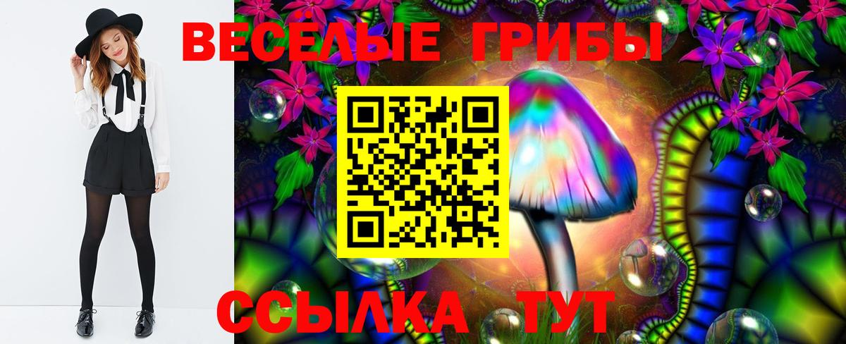 Галлюциногенные грибы прущие грибы Тара