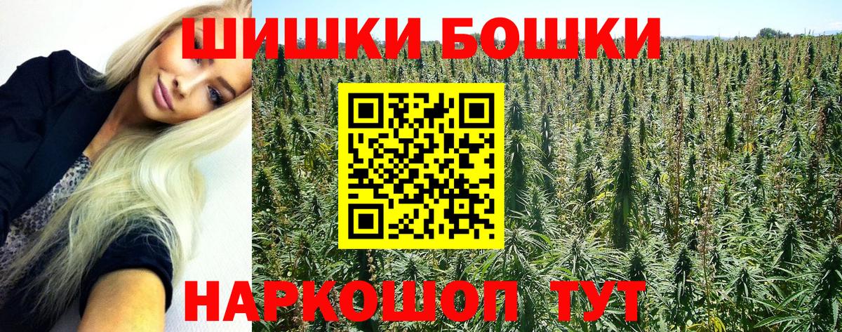 Тара  Бошки марихуана SATIVA & INDICA  Бошки марихуана план  Вход с VPN 